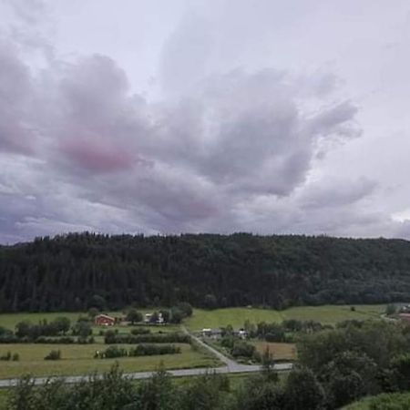 Skogan Apartment Leirfjord Luaran gambar