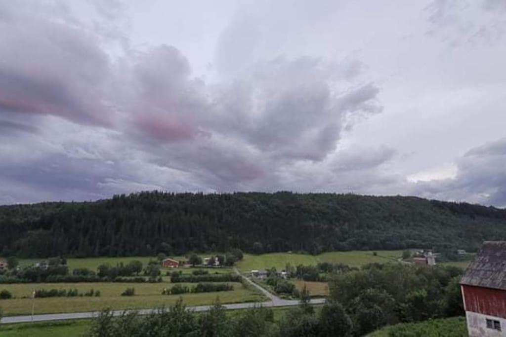 Skogan Apartment Leirfjord Luaran gambar