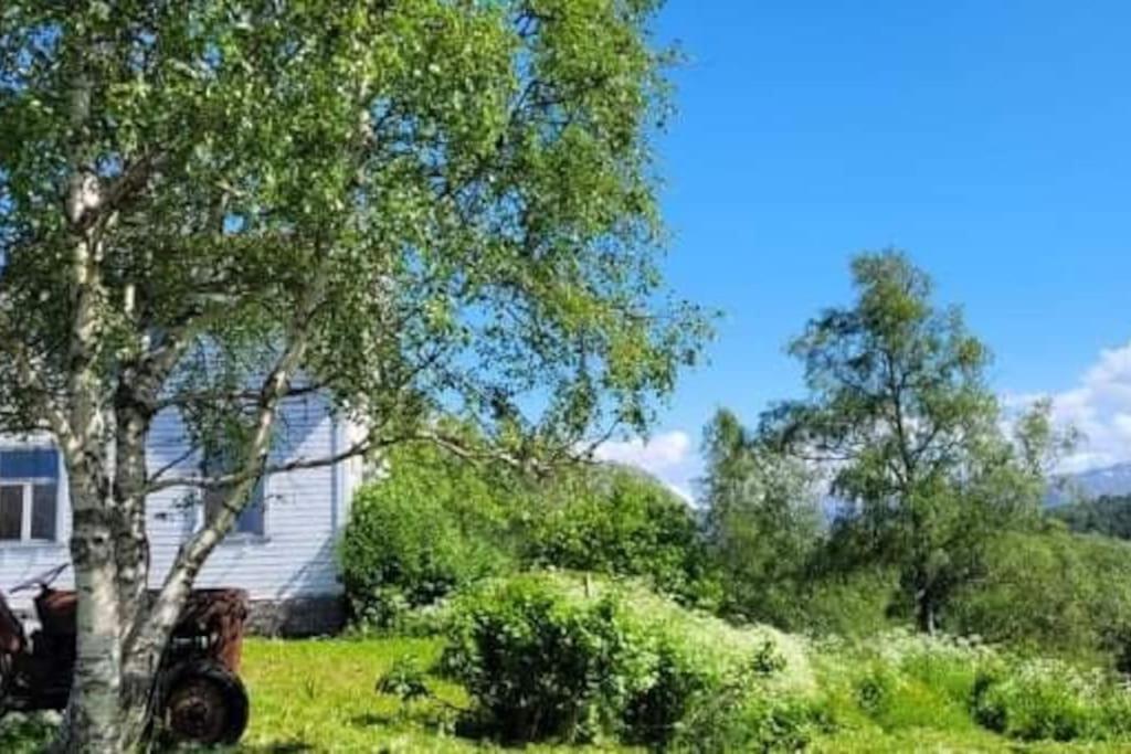Skogan Apartment Leirfjord Luaran gambar