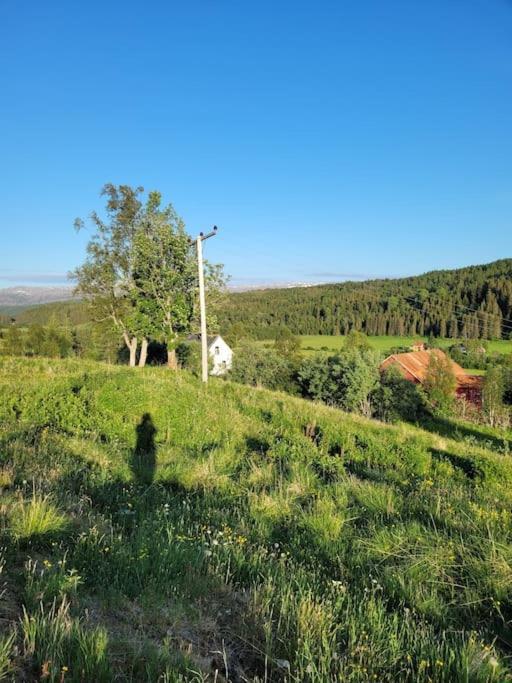 Skogan Apartment Leirfjord Luaran gambar